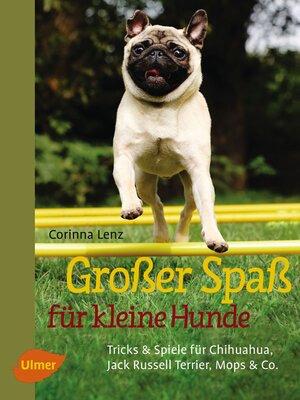 cover image of Großer Spaß für kleine Hunde